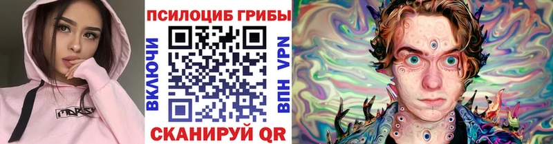Галлюциногенные грибы мицелий  Купить  Артёмовск 